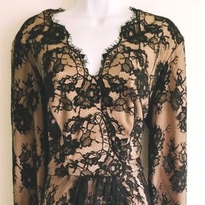 Tadashi Shoji Black & Nude Lace Overlay Il…